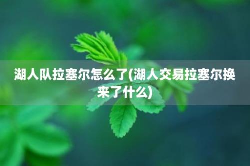 湖人队拉塞尔怎么了(湖人交易拉塞尔换来了什么)