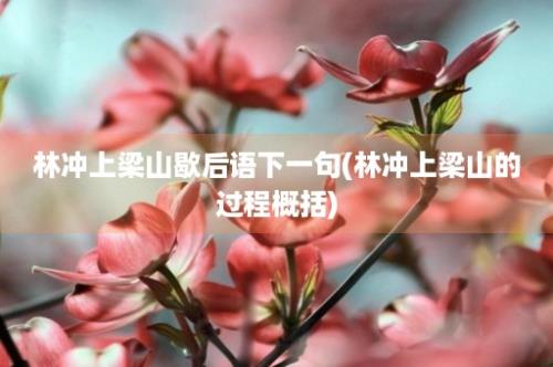 林冲上梁山歇后语下一句(林冲上梁山的过程概括)