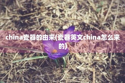 china瓷器的由来(瓷器英文china怎么来的)