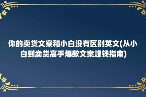 你的卖货文案和小白没有区别英文(从小白到卖货高手爆款文案赚钱指南)