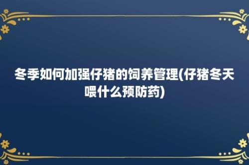 冬季如何加强仔猪的饲养管理(仔猪冬天喂什么预防药)