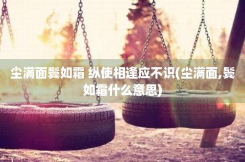 尘满面鬓如霜 纵使相逢应不识(尘满面,鬓如霜什么意思)