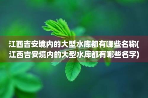 江西吉安境内的大型水库都有哪些名称(江西吉安境内的大型水库都有哪些名字)