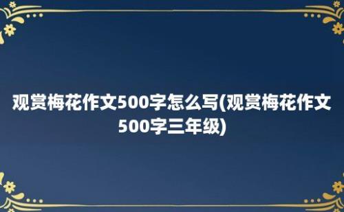 观赏梅花作文500字怎么写(观赏梅花作文500字三年级)