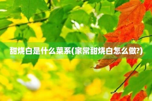 甜烧白是什么菜系(家常甜烧白怎么做?)