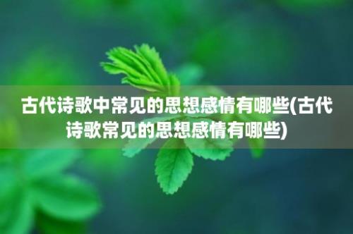 古代诗歌中常见的思想感情有哪些(古代诗歌常见的思想感情有哪些)