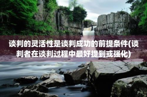 谈判的灵活性是谈判成功的前提条件(谈判者在谈判过程中最好提到或强化)