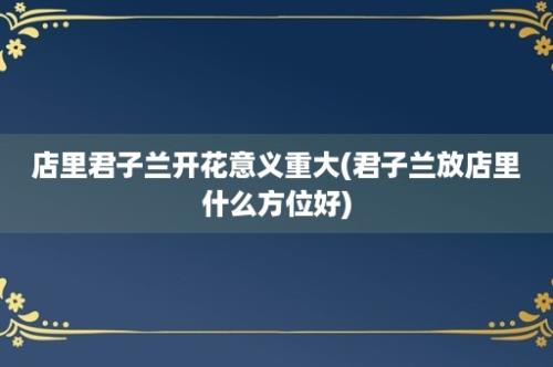 店里君子兰开花意义重大(君子兰放店里什么方位好)