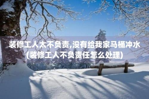 装修工人太不负责,没有给我家马桶冲水(装修工人不负责任怎么处理)