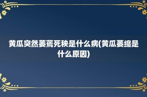 黄瓜突然萎蔫死秧是什么病(黄瓜萎缩是什么原因)