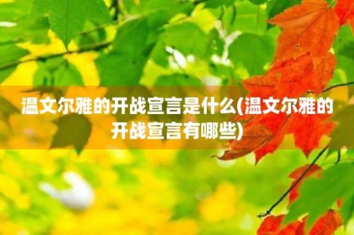 温文尔雅的开战宣言是什么(温文尔雅的开战宣言有哪些)