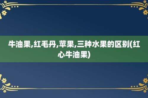 牛油果,红毛丹,苹果,三种水果的区别(红心牛油果)