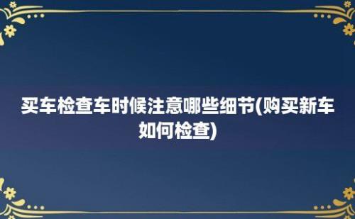 买车检查车时候注意哪些细节(购买新车如何检查)