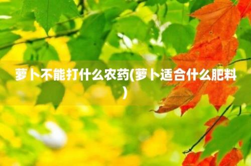 萝卜不能打什么农药(萝卜适合什么肥料)