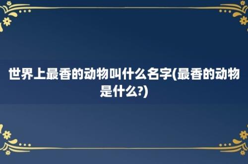 世界上最香的动物叫什么名字(最香的动物是什么?)