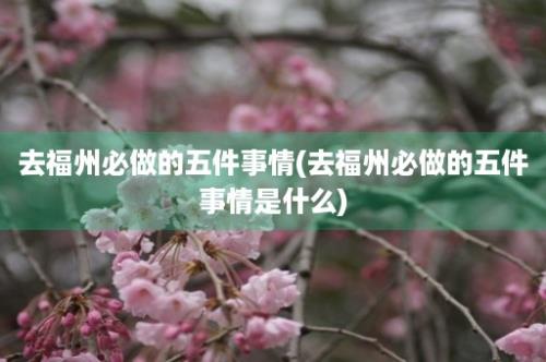 去福州必做的五件事情(去福州必做的五件事情是什么)