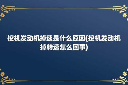 挖机发动机掉速是什么原因(挖机发动机掉转速怎么回事)