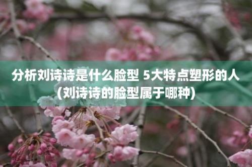 分析刘诗诗是什么脸型 5大特点塑形的人(刘诗诗的脸型属于哪种)