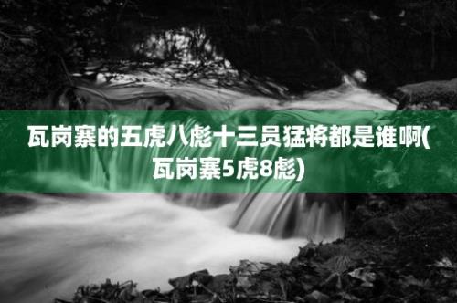 瓦岗寨的五虎八彪十三员猛将都是谁啊(瓦岗寨5虎8彪)