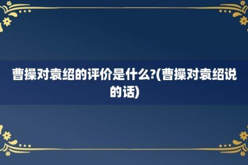 曹操对袁绍的评价是什么?(曹操对袁绍说的话)