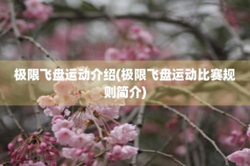 极限飞盘运动介绍(极限飞盘运动比赛规则简介)