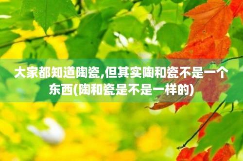 大家都知道陶瓷,但其实陶和瓷不是一个东西(陶和瓷是不是一样的)