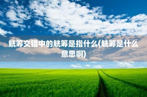 觥筹交错中的觥筹是指什么(觥筹是什么意思啊)