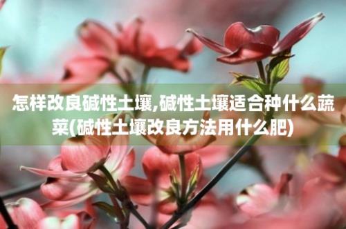 怎样改良碱性土壤,碱性土壤适合种什么蔬菜(碱性土壤改良方法用什么肥)