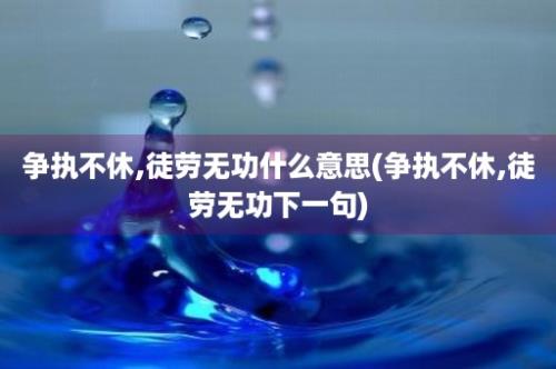 争执不休,徒劳无功什么意思(争执不休,徒劳无功下一句)