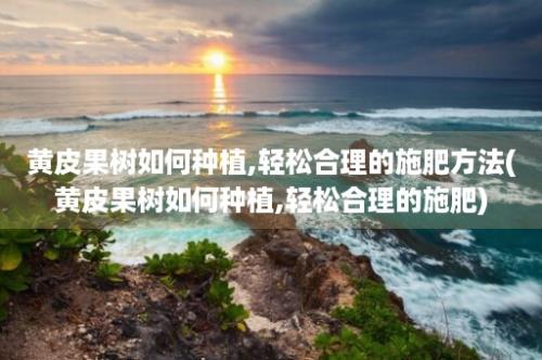 黄皮果树如何种植,轻松合理的施肥方法(黄皮果树如何种植,轻松合理的施肥)