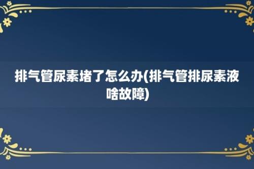 排气管尿素堵了怎么办(排气管排尿素液啥故障)