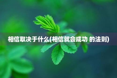 相信取决于什么(相信就会成功 的法则)