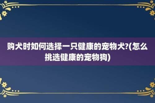 购犬时如何选择一只健康的宠物犬?(怎么挑选健康的宠物狗)