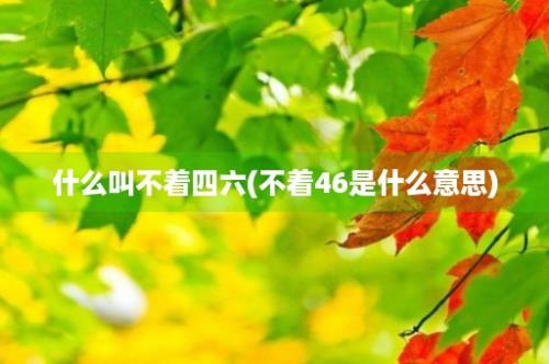 什么叫不着四六(不着46是什么意思)