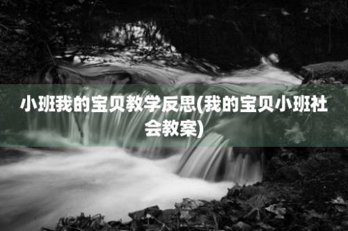 小班我的宝贝教学反思(我的宝贝小班社会教案)