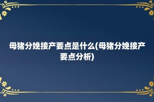 母猪分娩接产要点是什么(母猪分娩接产要点分析)