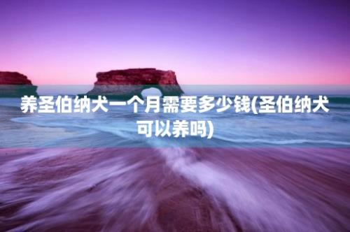 养圣伯纳犬一个月需要多少钱(圣伯纳犬可以养吗)