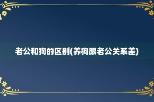 老公和狗的区别(养狗跟老公关系差)