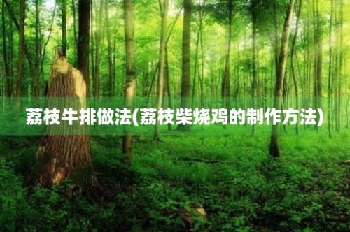 荔枝牛排做法(荔枝柴烧鸡的制作方法)