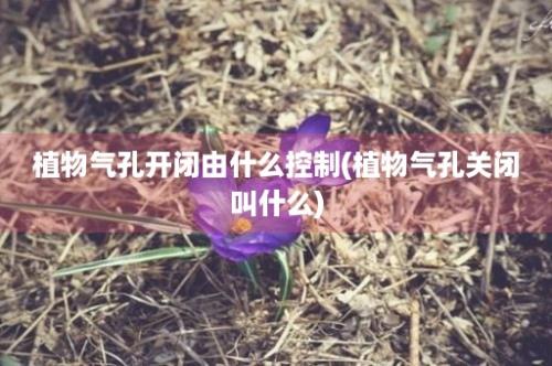 植物气孔开闭由什么控制(植物气孔关闭叫什么)