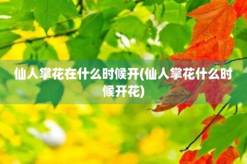 仙人掌花在什么时候开(仙人掌花什么时候开花)