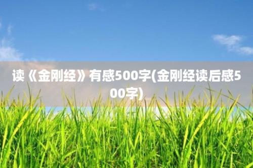 读《金刚经》有感500字(金刚经读后感500字)