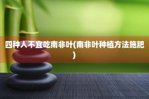 四种人不宜吃南非叶(南非叶种植方法施肥)