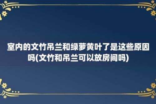 室内的文竹吊兰和绿萝黄叶了是这些原因吗(文竹和吊兰可以放房间吗)