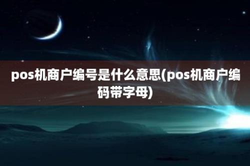 pos机商户编号是什么意思(pos机商户编码带字母)