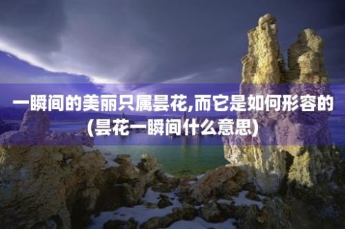 一瞬间的美丽只属昙花,而它是如何形容的(昙花一瞬间什么意思)