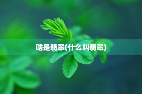 啥是翡翠(什么叫翡翠)