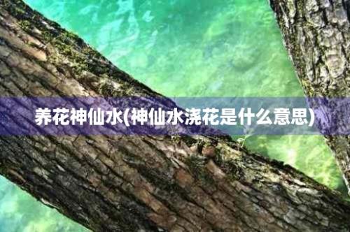 养花神仙水(神仙水浇花是什么意思)