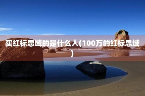 买红标思域的是什么人(100万的红标思域)