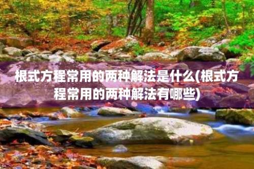 根式方程常用的两种解法是什么(根式方程常用的两种解法有哪些)